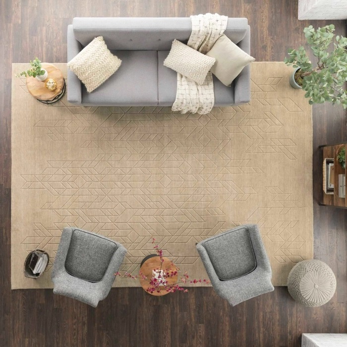 Casual & Solid Rugs Alessia ALE01   Beige Ivory - Beige Hand Loomed Rug