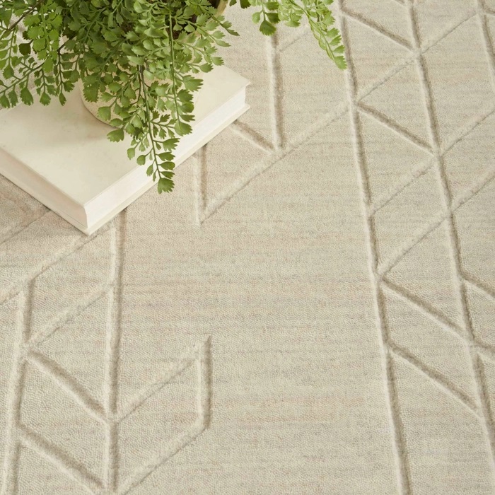 Casual & Solid Rugs Alessia ALE01   Ivory Ivory - Beige Hand Loomed Rug